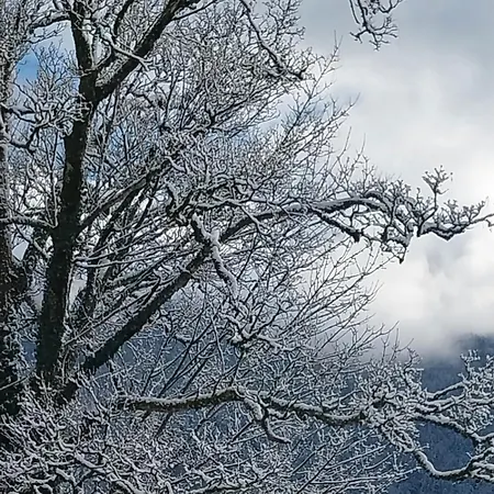 Le Coq En Pate 住宿加早餐酒店