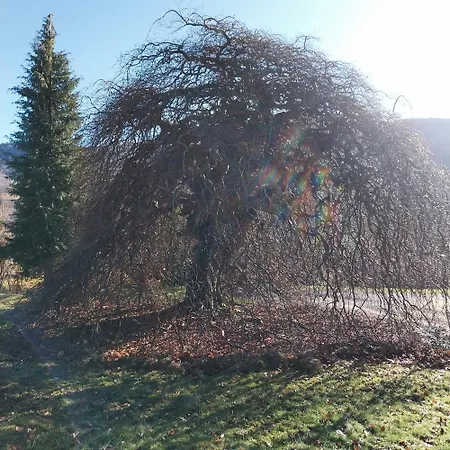 Le Coq En Pate Bed and Breakfast Bussang