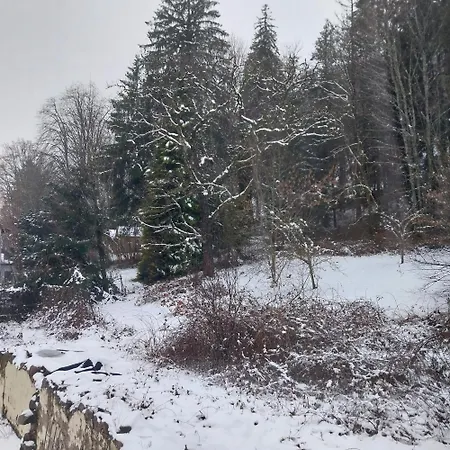 Le Coq En Pate 住宿加早餐酒店