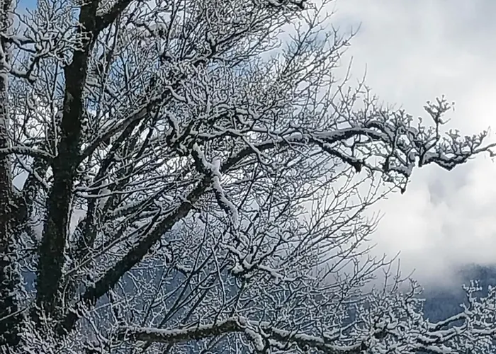 Le Coq En Pate 住宿加早餐酒店