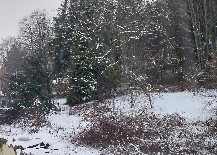 Le Coq En Pate 住宿加早餐酒店